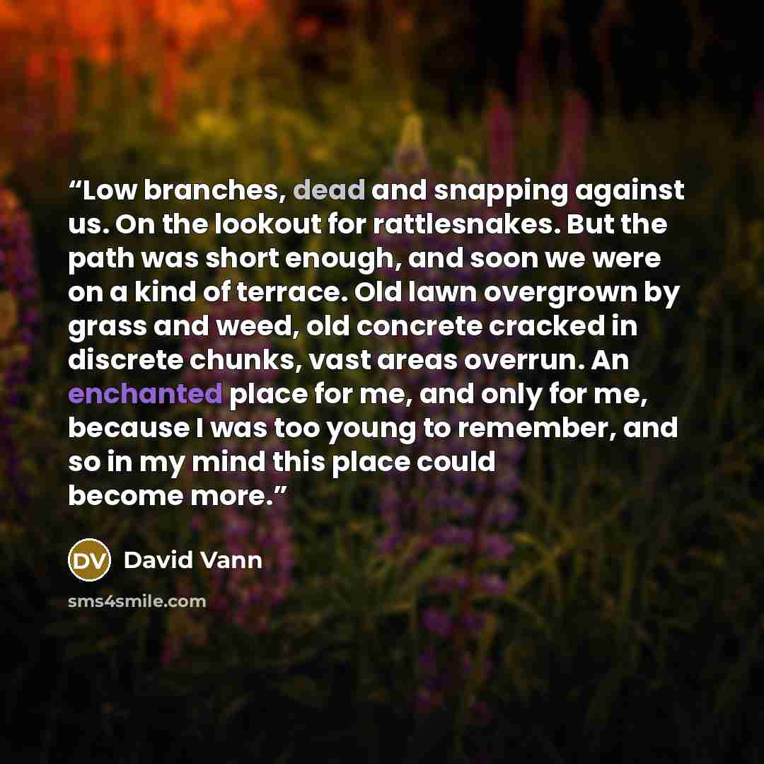 “Low branches, dead and snapping against us. On the lookout for rattlesnakes. But the path was short enough, and soon we were on a kind of terrace. Old lawn overgrown by grass and weed, old concrete cracked in discrete chunks, vast areas overrun. An enchanted place for me, and only for me, because…” quote by David Vann