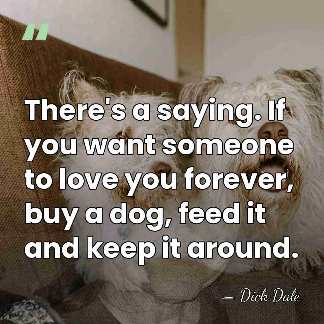 There's a saying. If you want someone to love you forever, buy&hellip; - Dick Dale