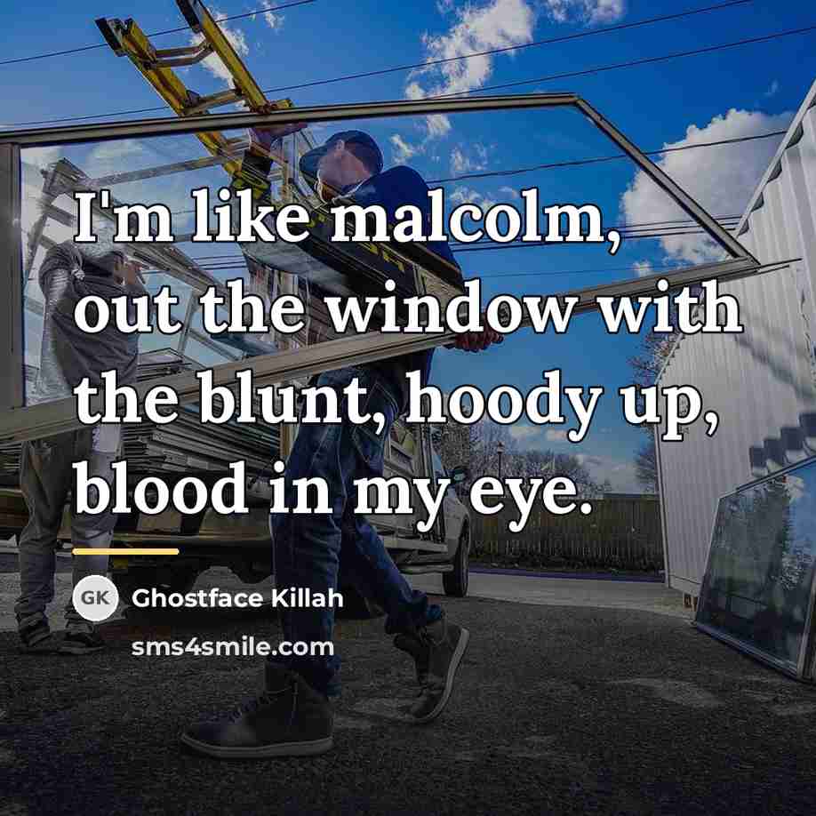 “I'm like malcolm, out the window with the blunt, hoody…” quote by Ghostface Killah