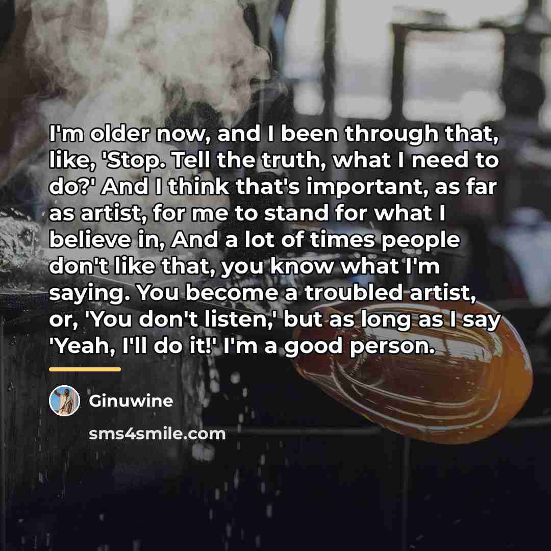 “I'm older now, and I been through that, like, 'Stop.…” quote by Ginuwine
