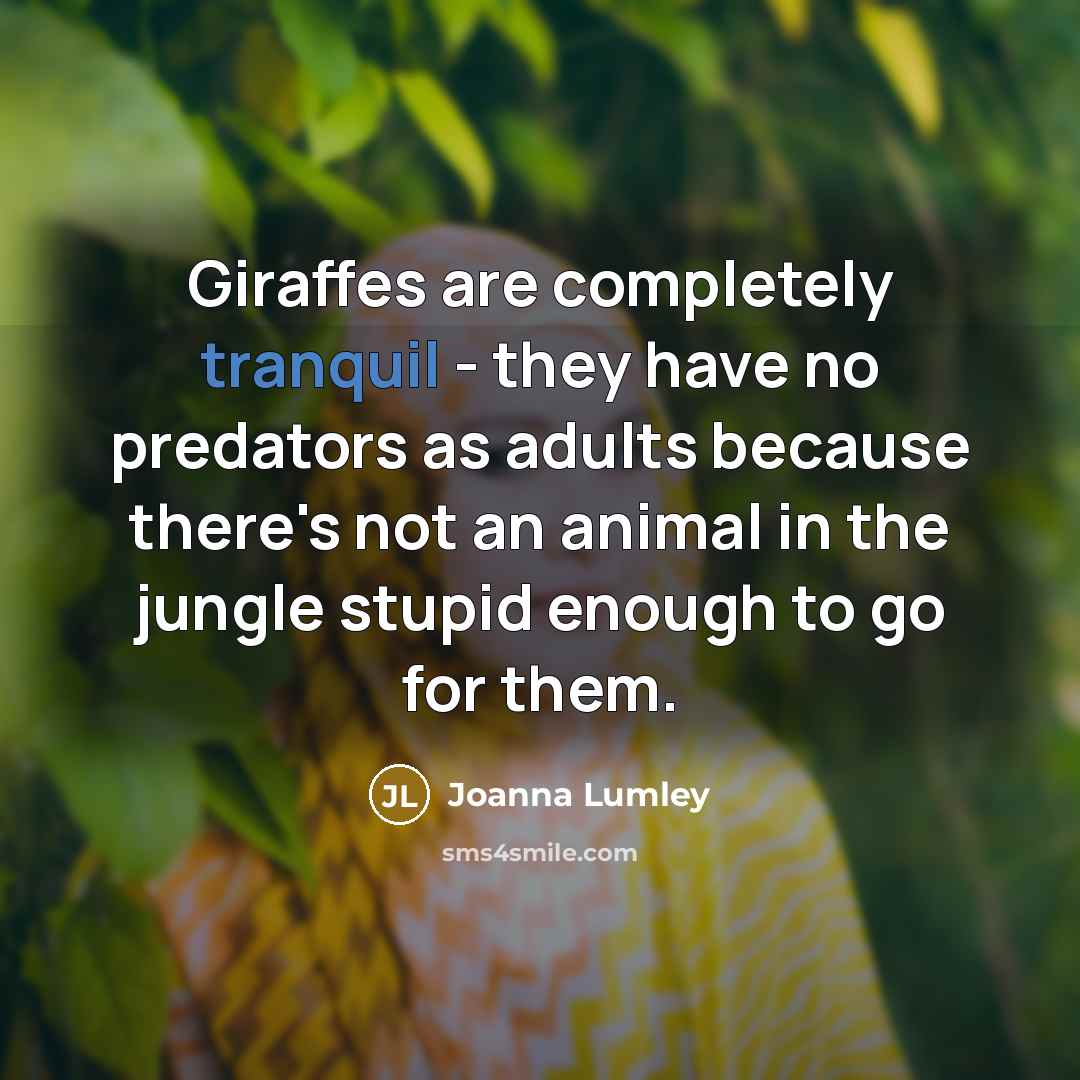 “Giraffes are completely tranquil - they have no predators as…” quote by Joanna Lumley