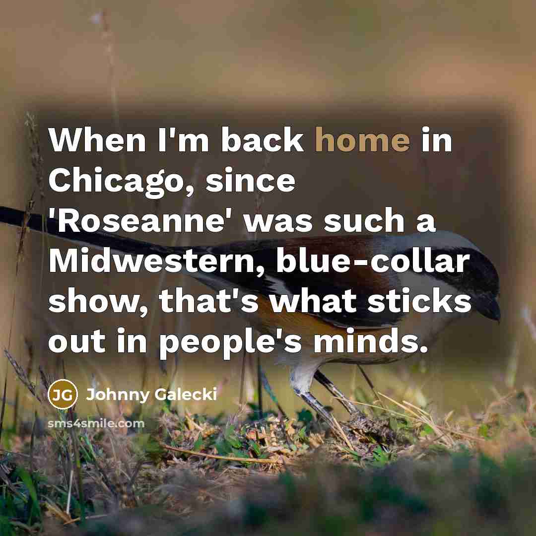 “When I'm back home in Chicago, since 'Roseanne' was such…” quote by Johnny Galecki