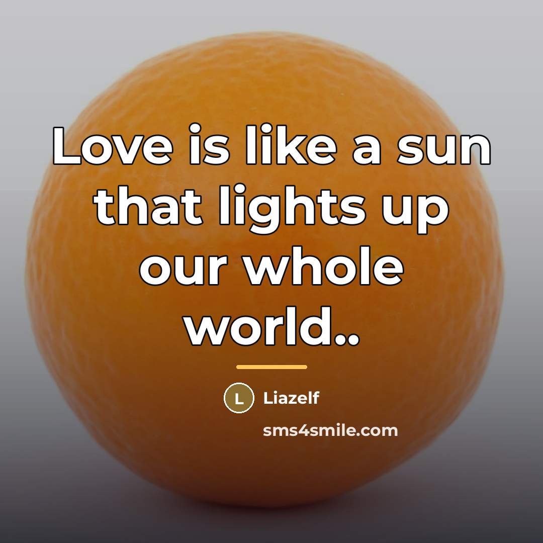 “Love is like a sun that lights up our whole…” quote by Liazelf