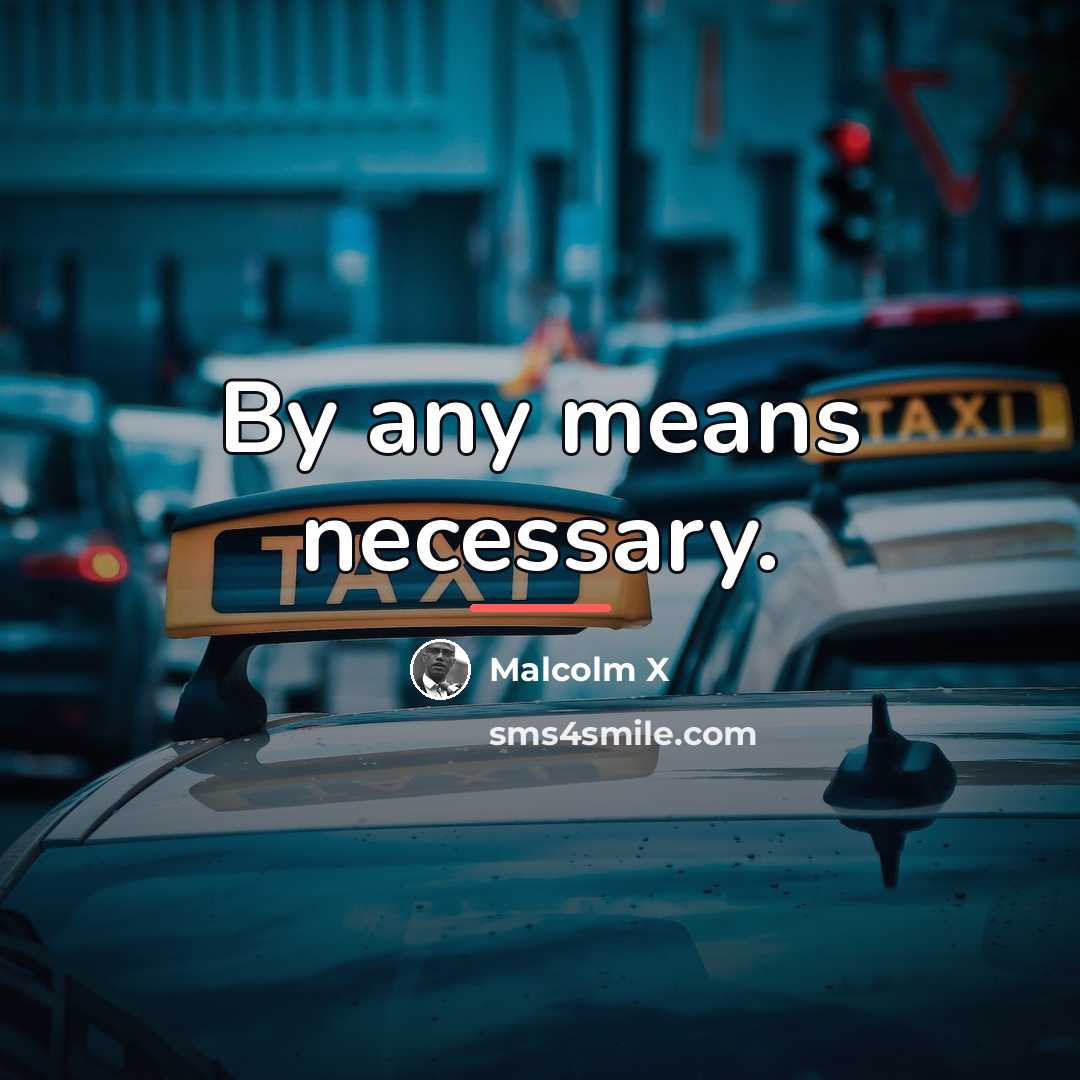 “By any means necessary.…” quote by Malcolm X