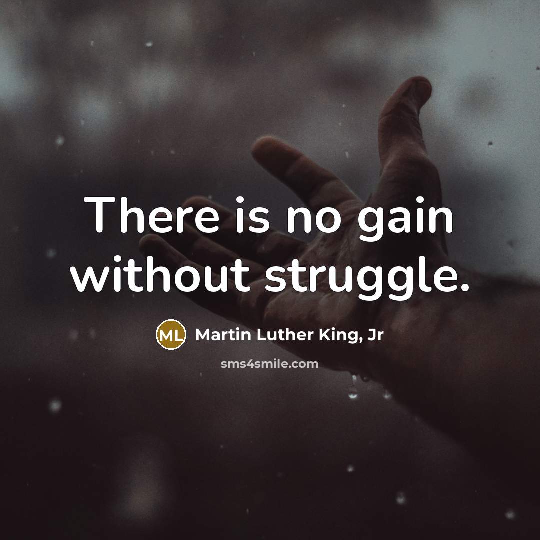 “There is no gain without struggle.…” quote by Martin Luther King, Jr