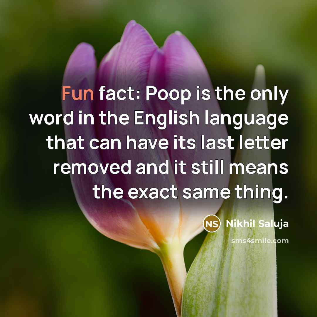 “Fun fact: Poop is the only word in the English…” quote by Nikhil Saluja
