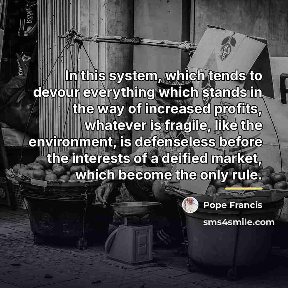 “In this system, which tends to devour everything which stands…” quote by Pope Francis