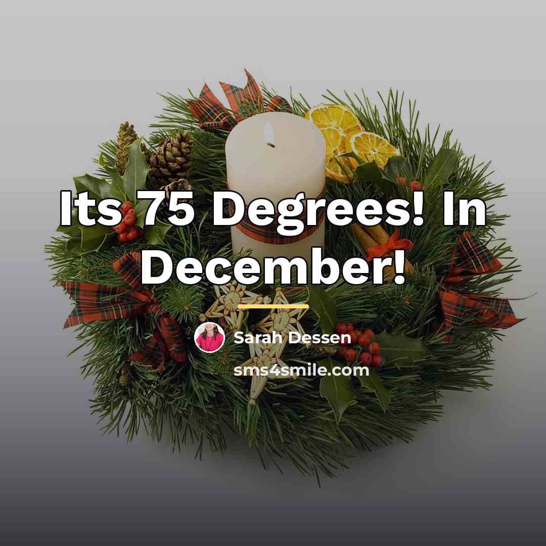 “Its 75 Degrees! In December!…” quote by Sarah Dessen