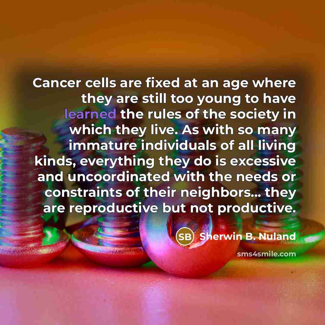 “Cancer cells are fixed at an age where they are…” quote by Sherwin B. Nuland