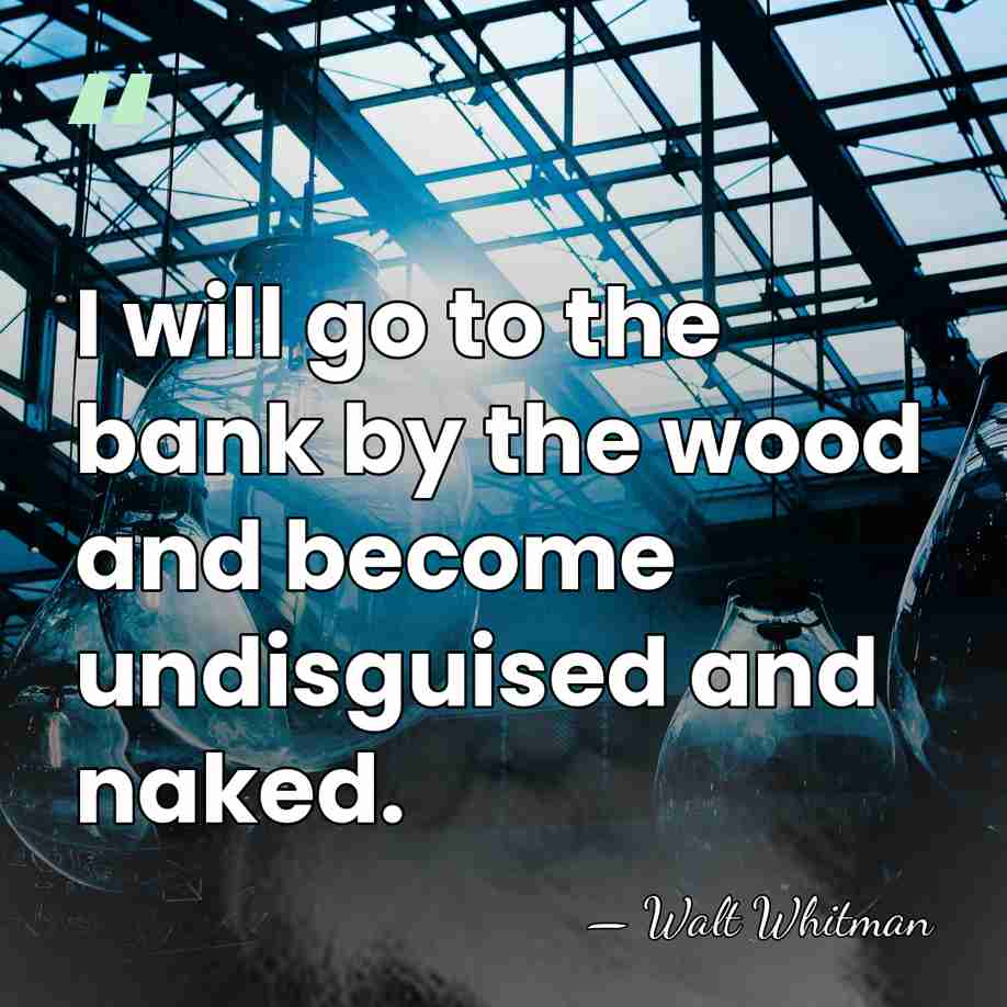 I will go to the bank by the wood and become undisguised&hellip; - Walt Whitman
