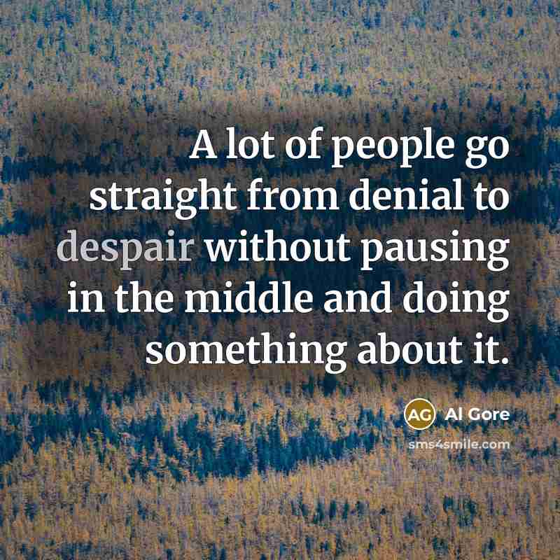 “A lot of people go straight from denial to despair…” quote by Al Gore