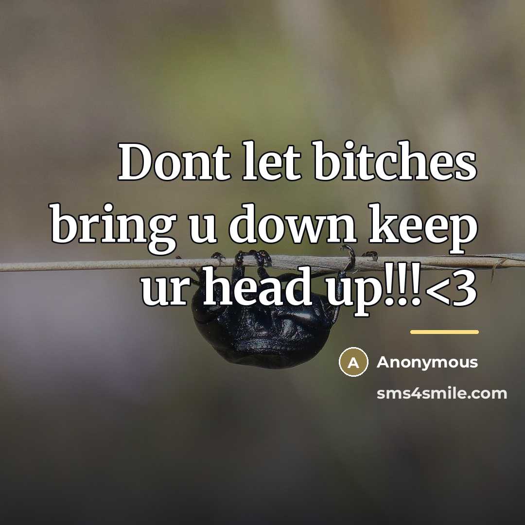 “Dont let bitches bring u down keep ur head up!!!…” quote by Anonymous