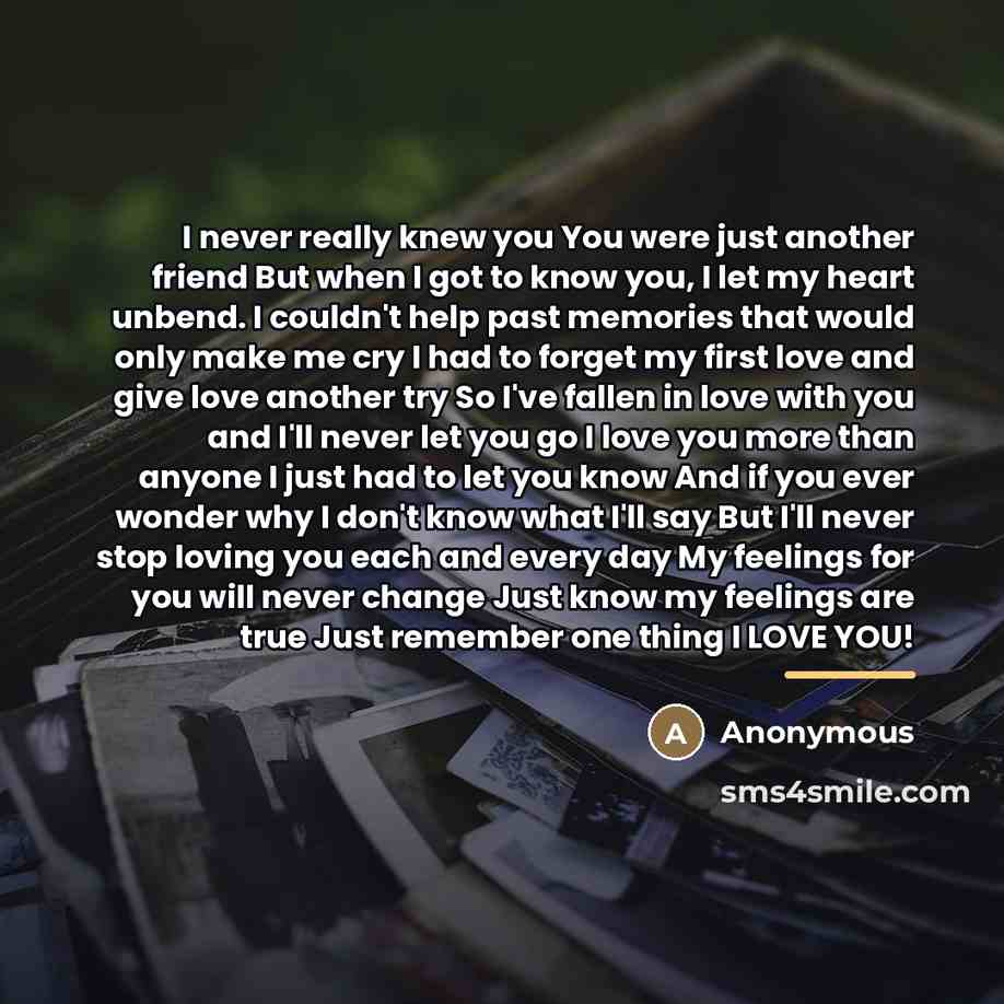 “I never really knew you You were just another friend…” quote by Anonymous