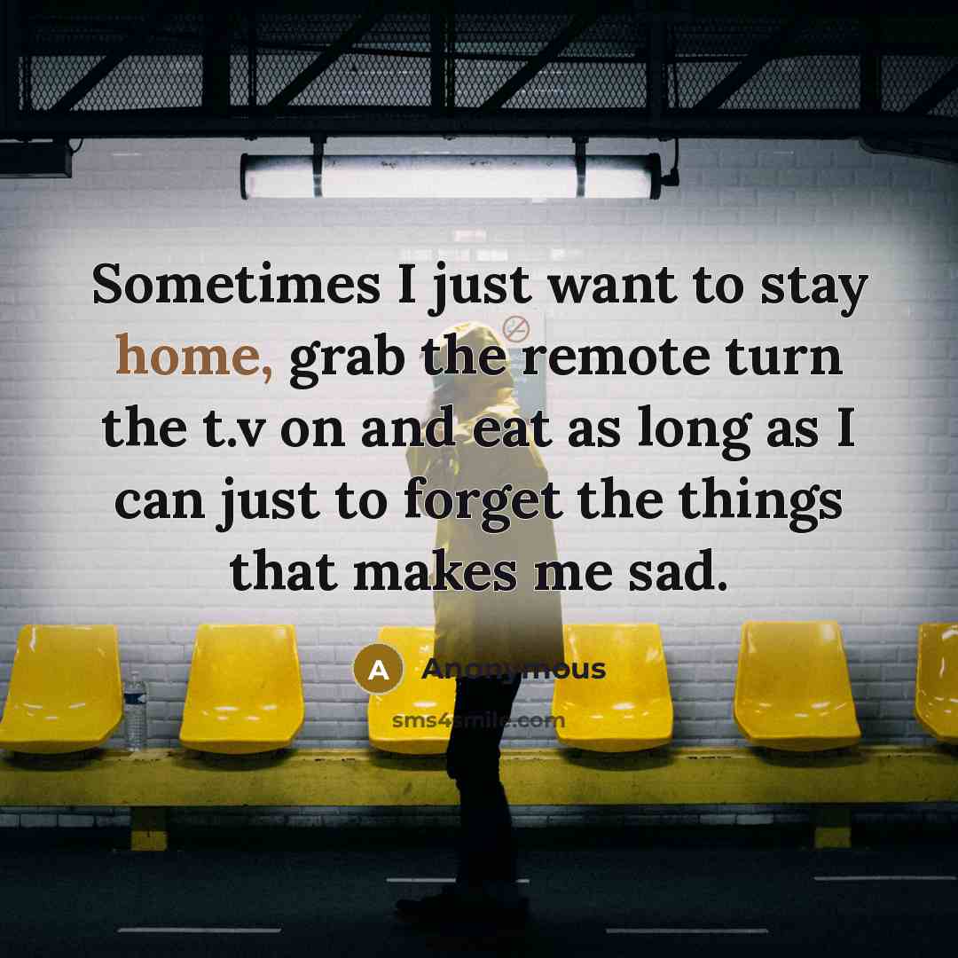 “Sometimes I just want to stay home, grab the remote…” quote by Anonymous