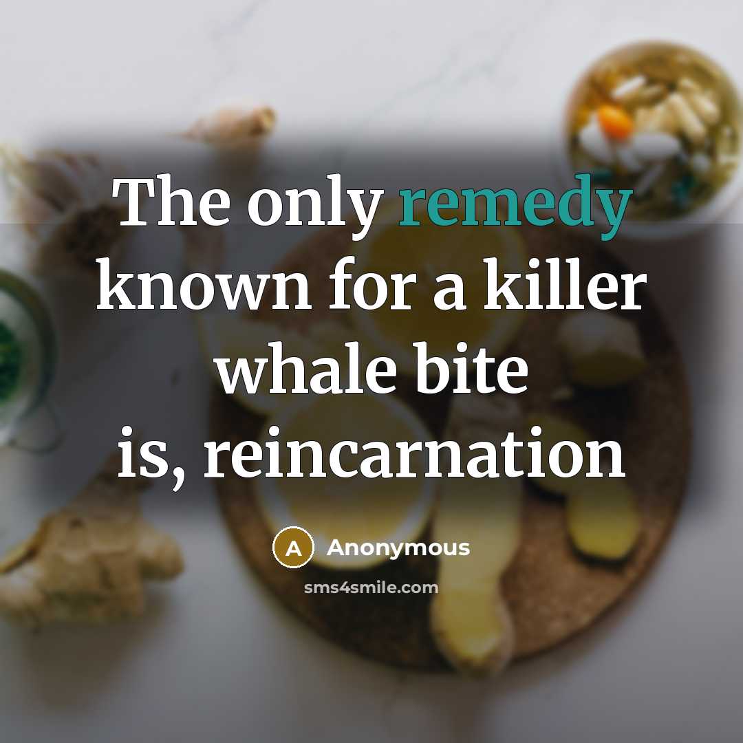“The only remedy known for a killer whale bite is, reincarnation” quote by Anonymous