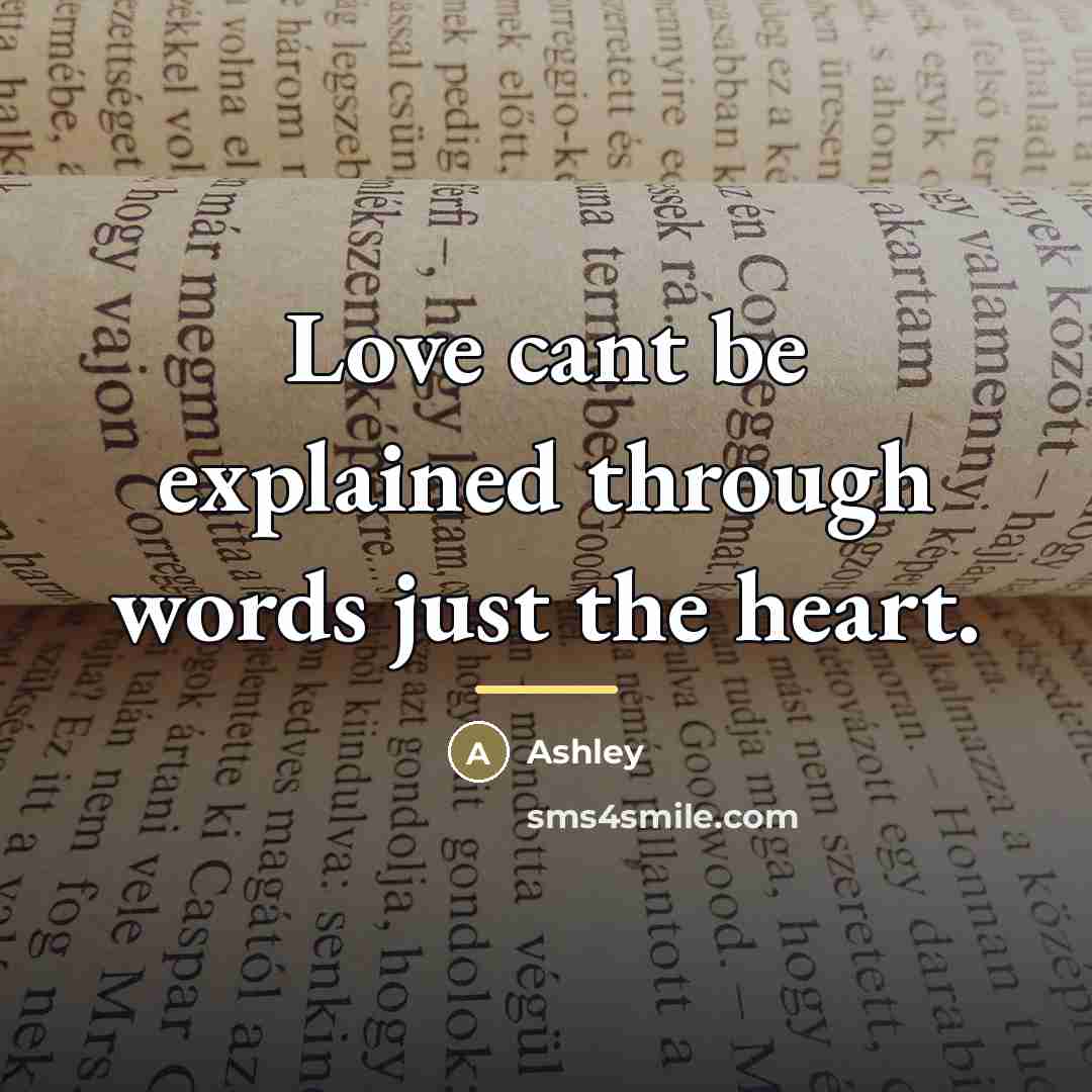 “Love cant be explained through words just the heart.…” quote by Ashley