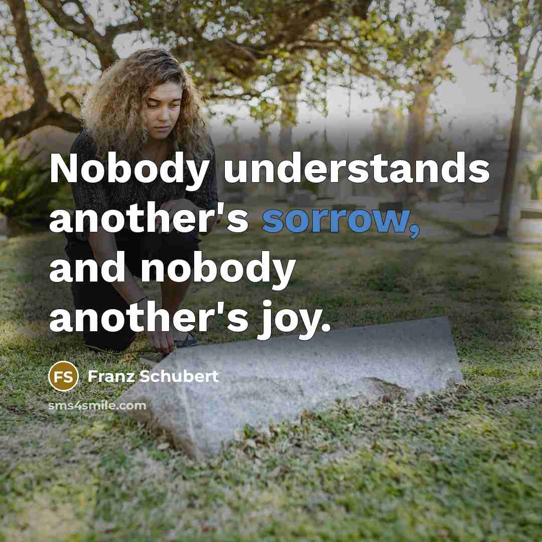 “Nobody understands another's sorrow, and nobody another's joy.…” quote by Franz Schubert