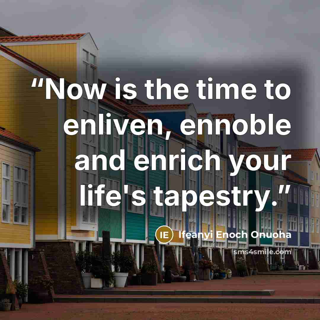 “Now is the time to enliven, ennoble and enrich your life's tapestry.” quote by Ifeanyi Enoch Onuoha