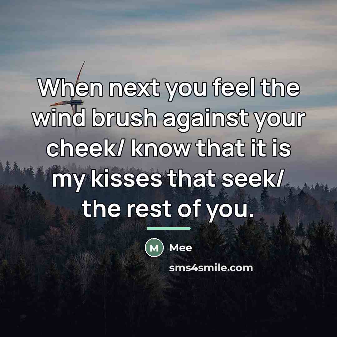 “When next you feel the wind brush against your cheek/…” quote by Mee