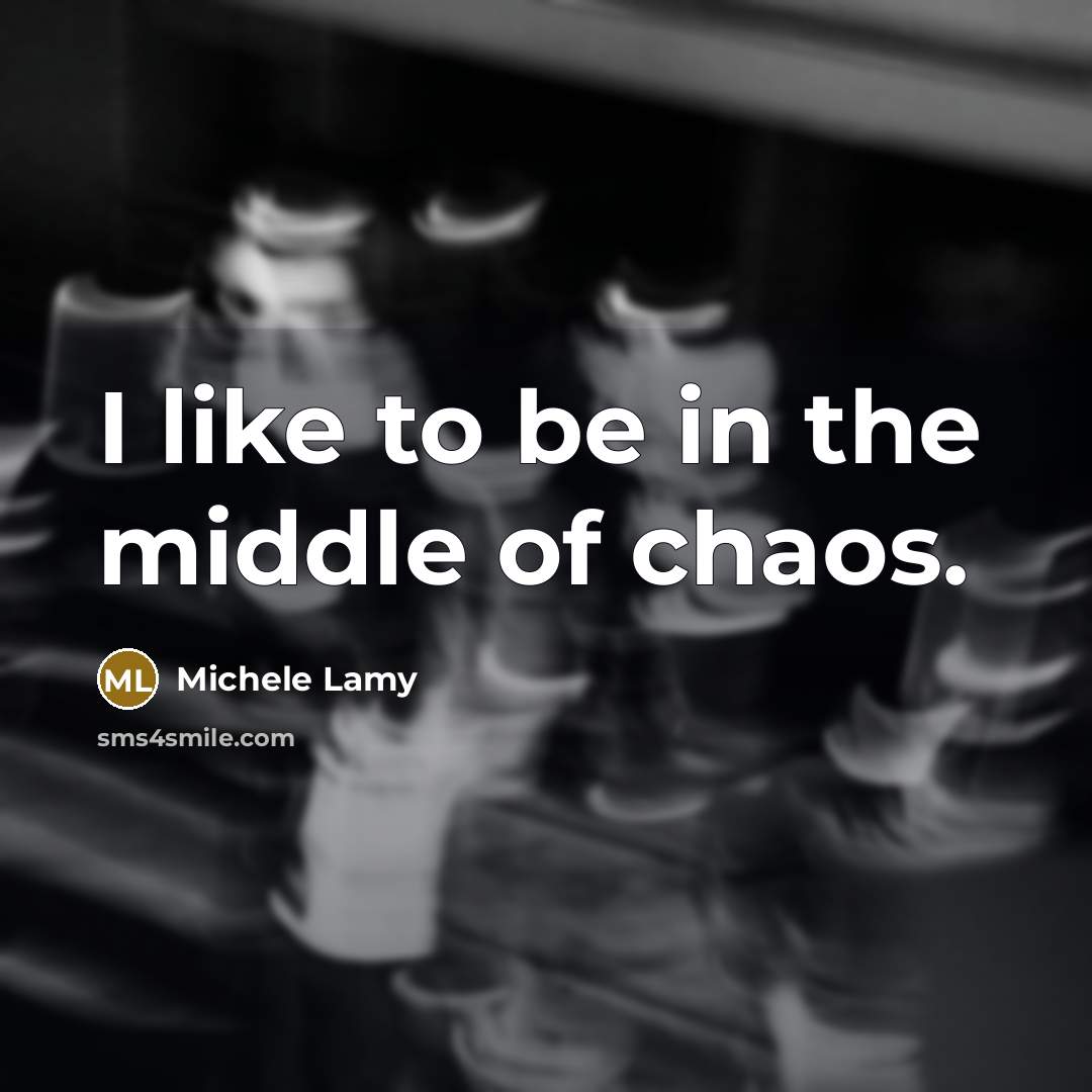 “I like to be in the middle of chaos.…” quote by Michele Lamy