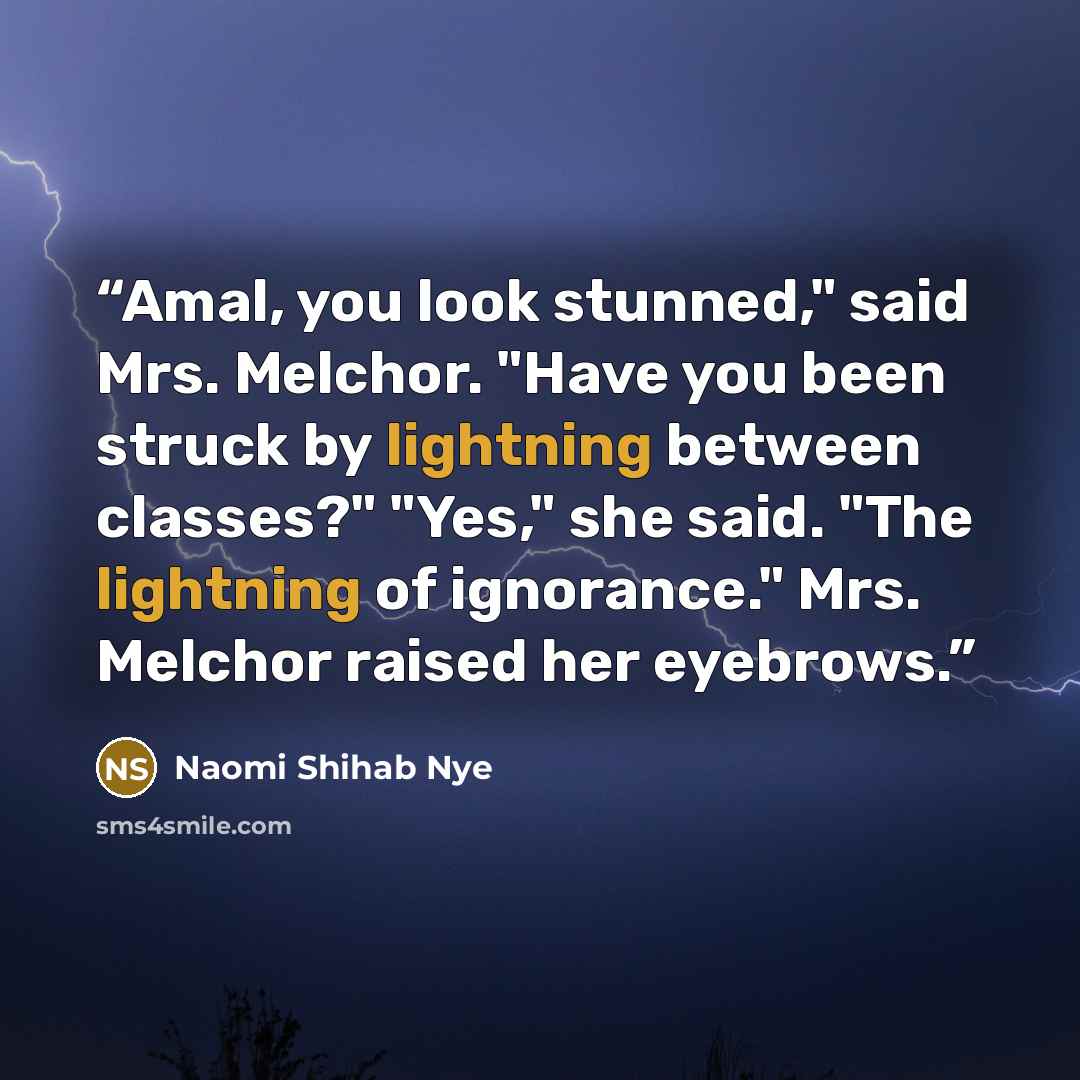 “Amal, you look stunned," said Mrs. Melchor. "Have you been struck by lightning between classes?" "Yes," she said. "The lightning of ignorance." Mrs. Melchor raised her eyebrows.” quote by Naomi Shihab Nye