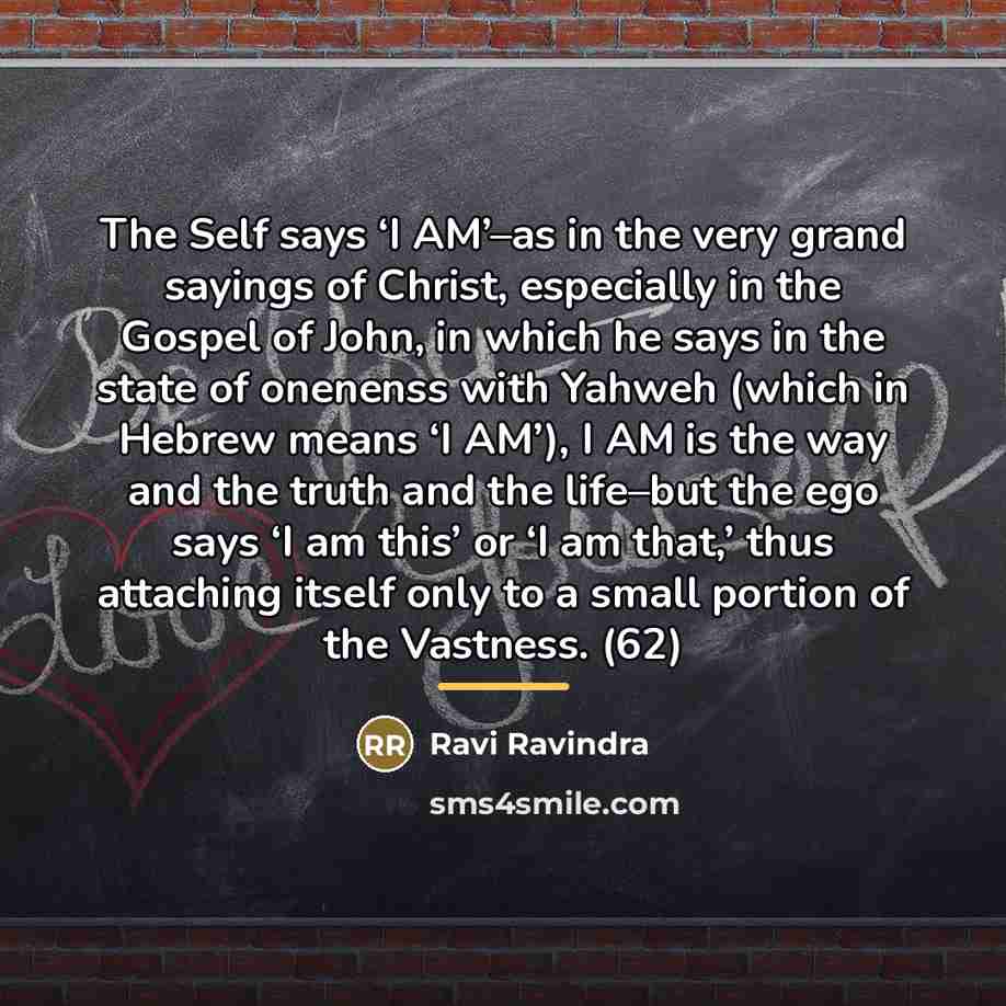“The Self says ‘I AM’–as in the very grand sayings…” quote by Ravi Ravindra
