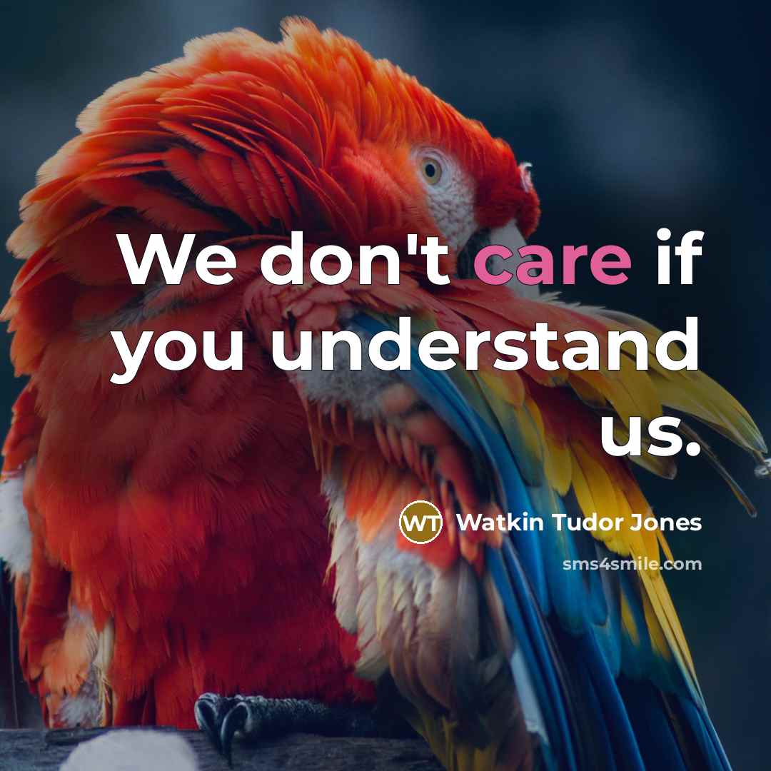 “We don't care if you understand us.…” quote by Watkin Tudor Jones