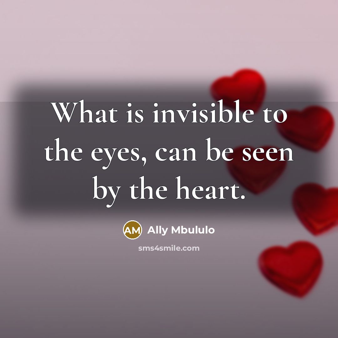 “What is invisible to the eyes, can be seen by…” quote by Ally Mbululo
