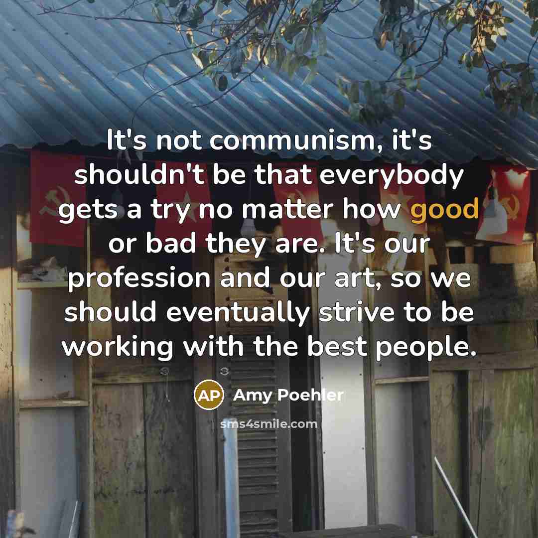 “It's not communism, it's shouldn't be that everybody gets a…” quote by Amy Poehler