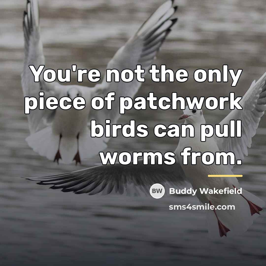 “You're not the only piece of patchwork birds can pull…” quote by Buddy Wakefield
