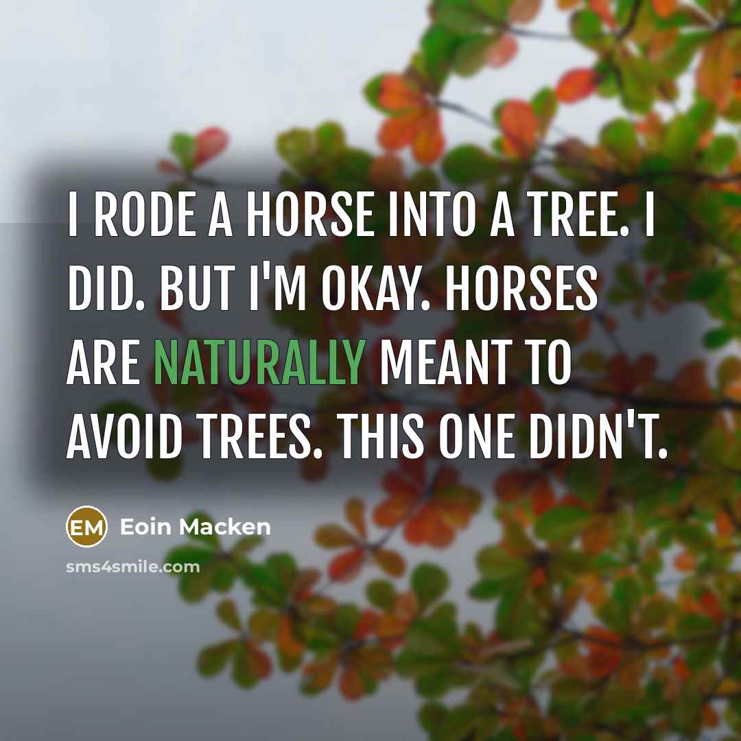 “I rode a horse into a tree. I did. But…” quote by Eoin Macken