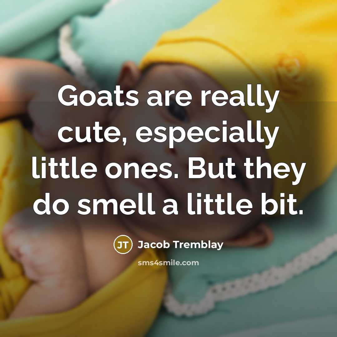 “Goats are really cute, especially little ones. But they do…” quote by Jacob Tremblay