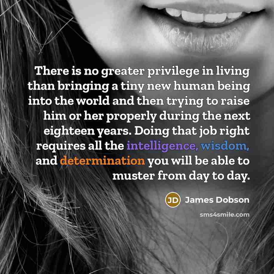 “There is no greater privilege in living than bringing a…” quote by James Dobson