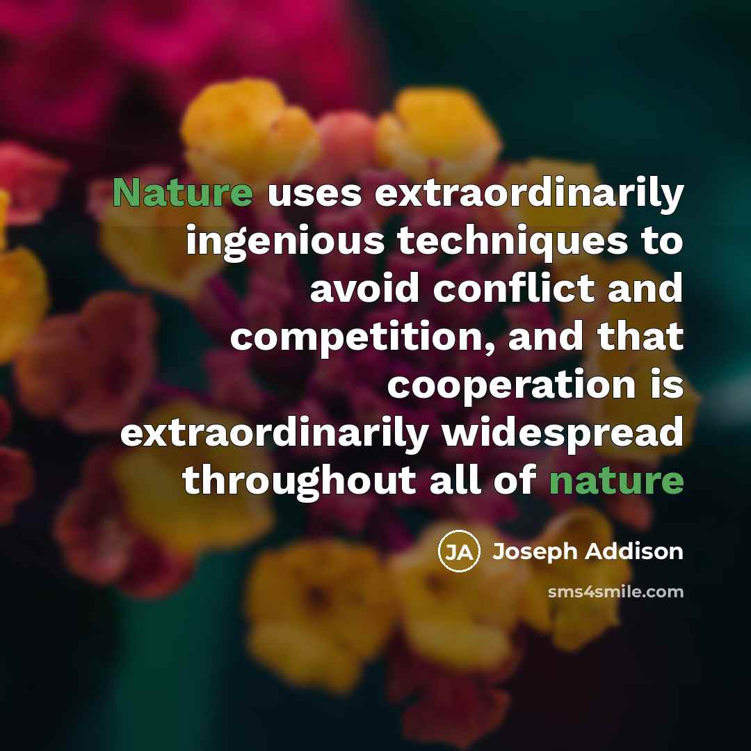 “Nature uses extraordinarily ingenious techniques to avoid conflict and competition,…” quote by Joseph Addison