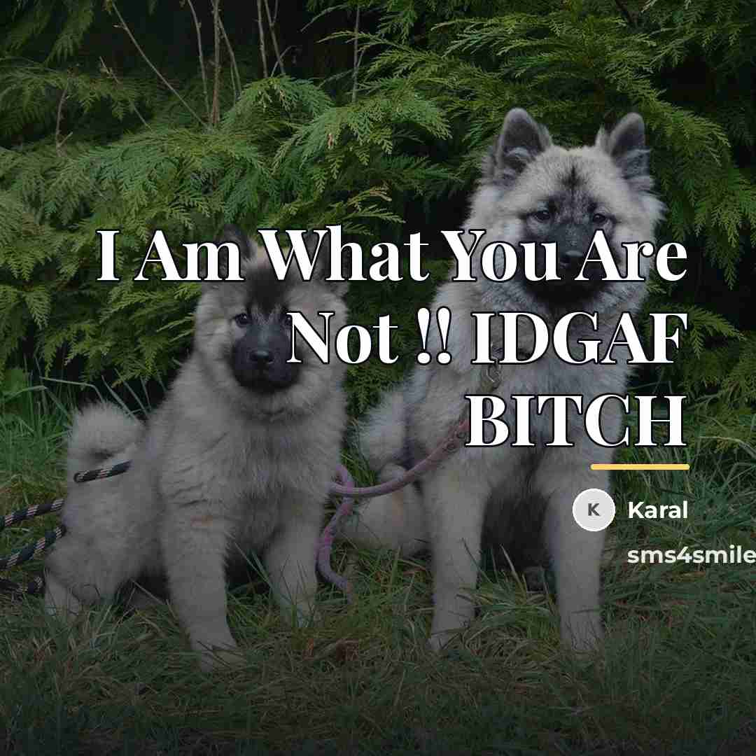 “I Am What You Are Not !! IDGAF BITCH…” quote by Karal