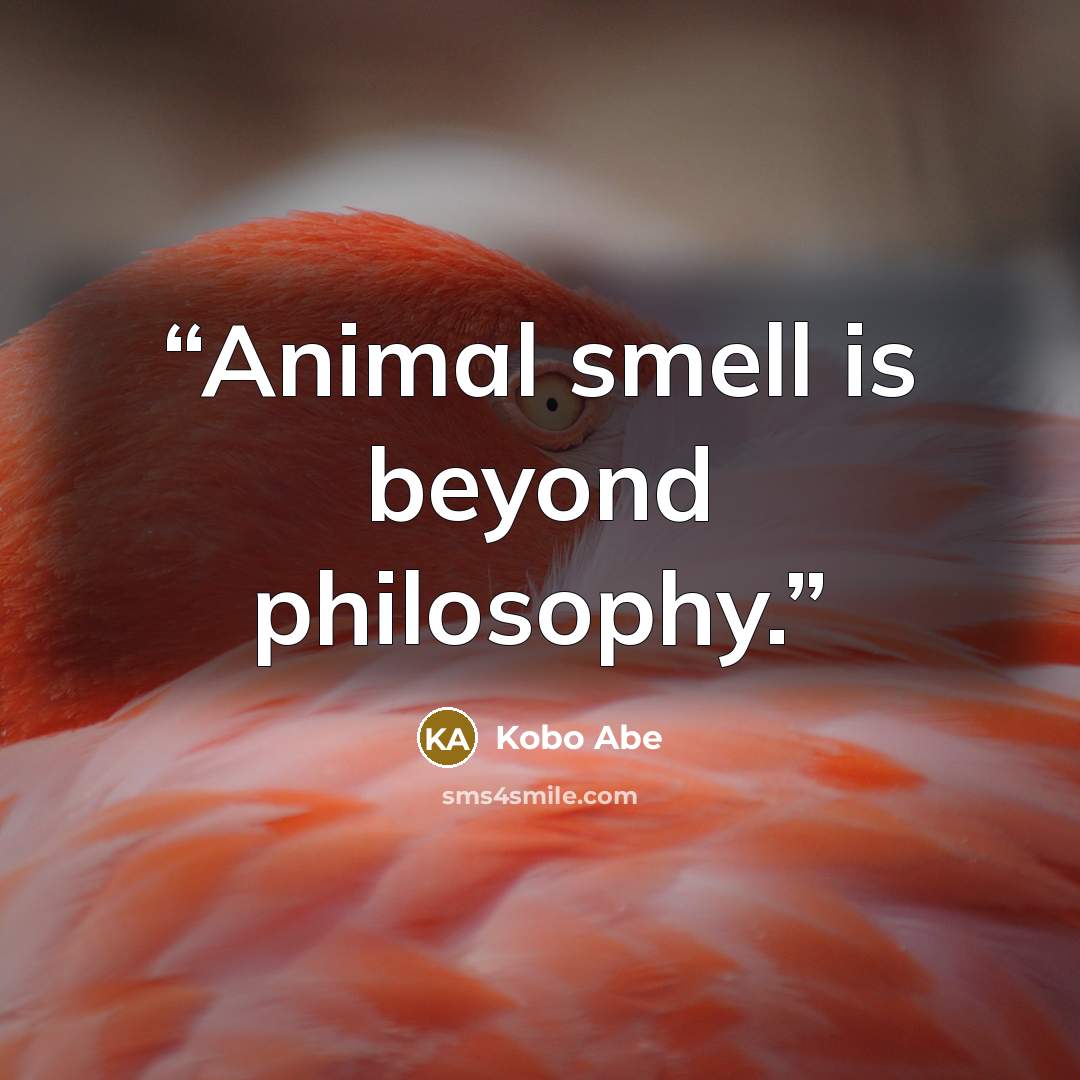 “Animal smell is beyond philosophy.” quote by Kōbō Abe
