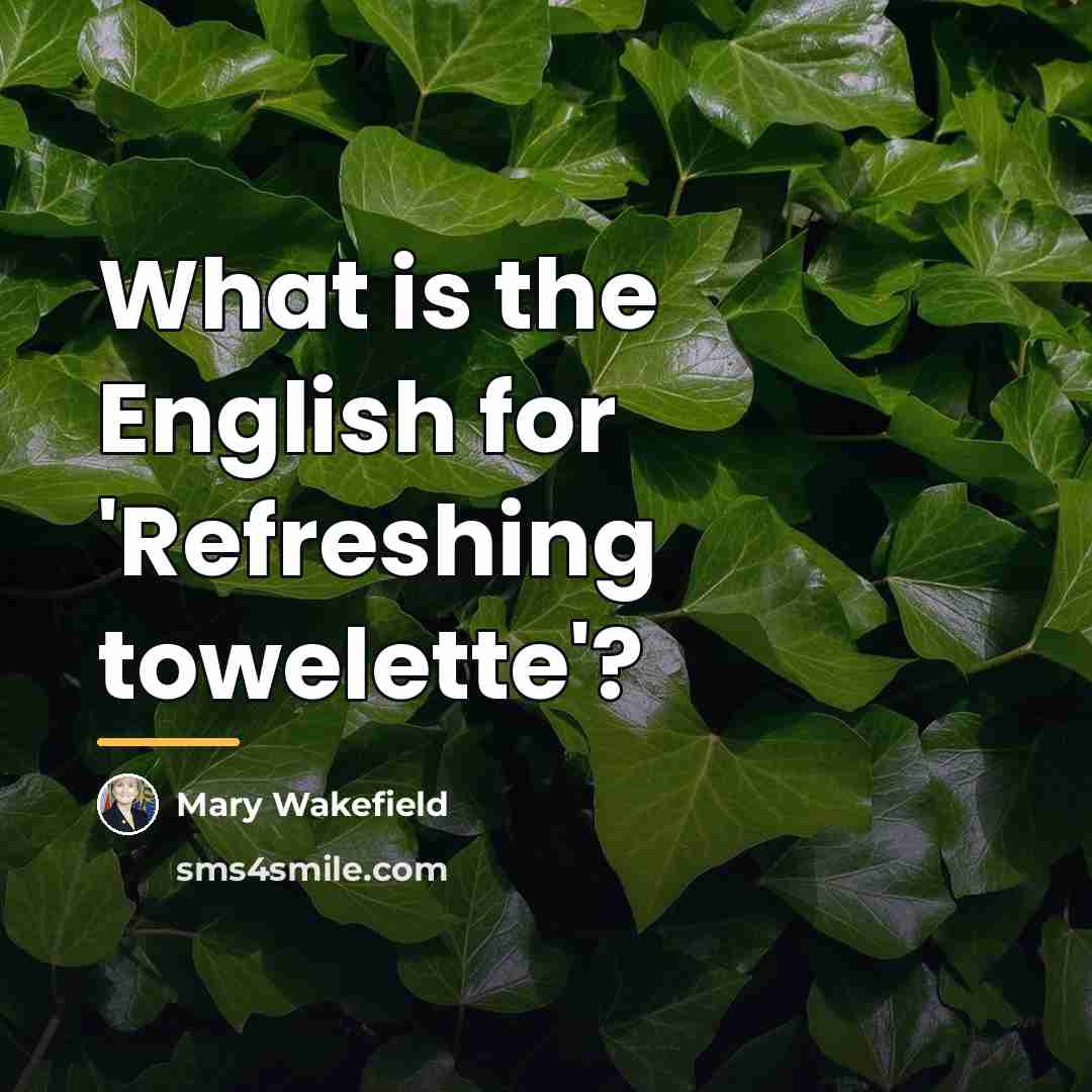 “What is the English for 'Refreshing towelette'?…” quote by Mary Wakefield