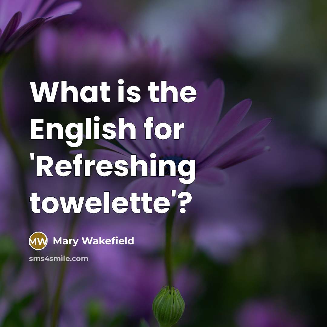 “What is the English for 'Refreshing towelette'?” quote by Mary Wakefield