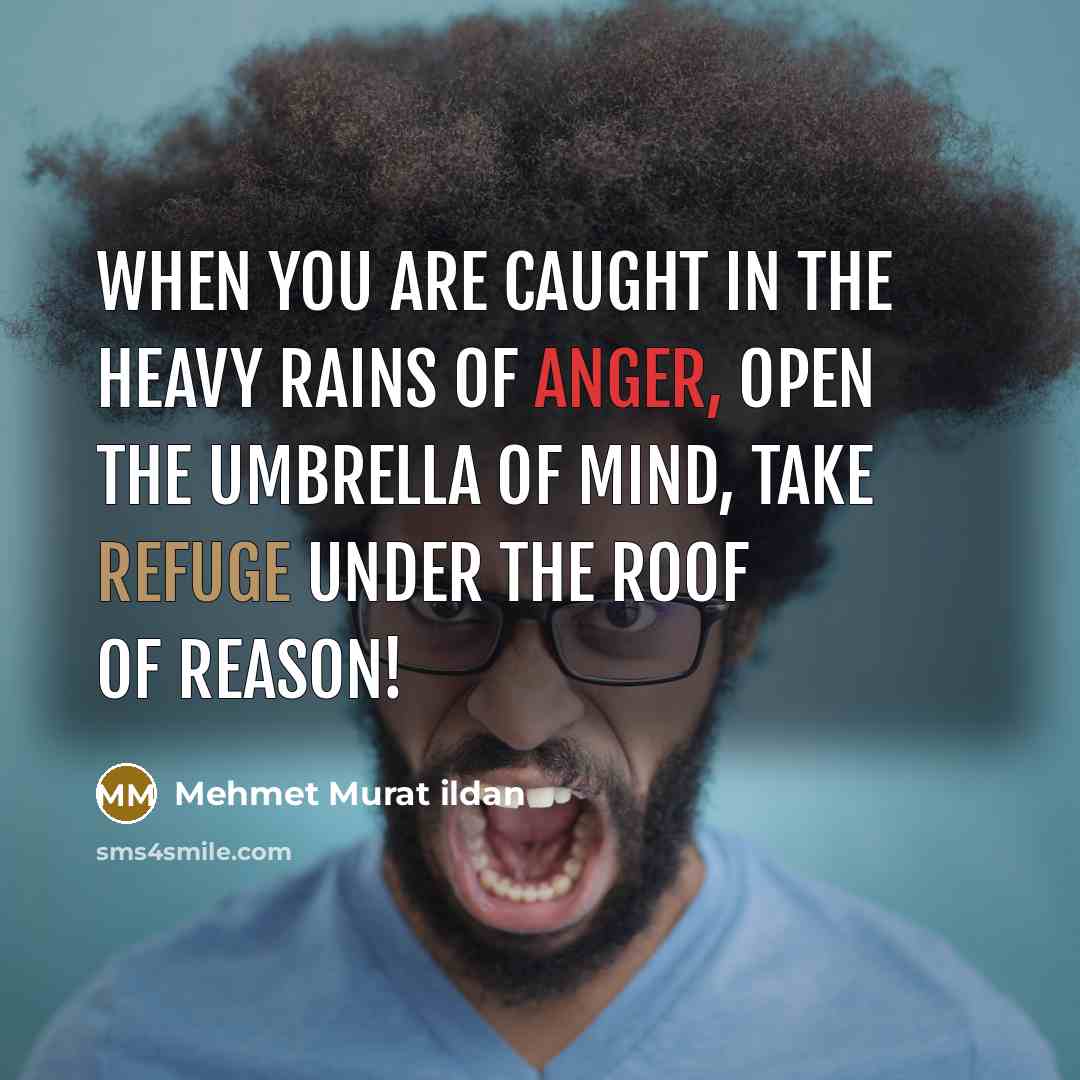 “When you are caught in the heavy rains of anger,…” quote by Mehmet Murat Ildan