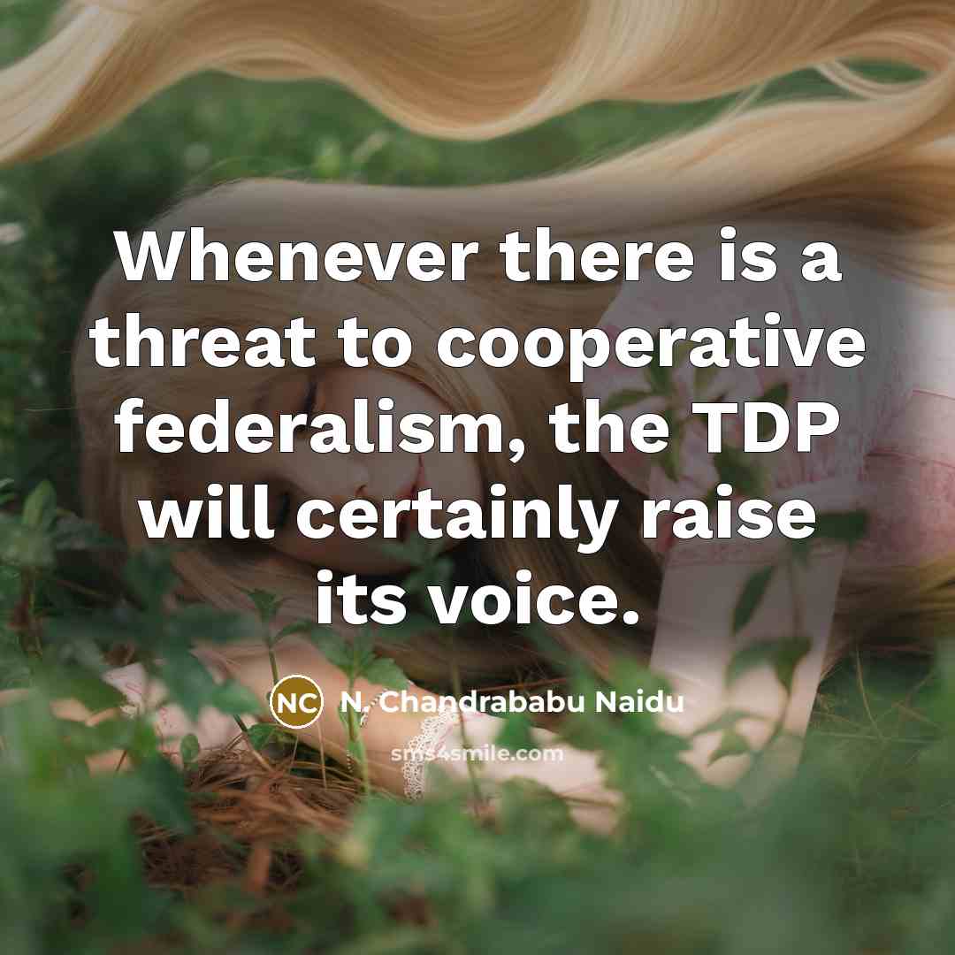 “Whenever there is a threat to cooperative federalism, the TDP…” quote by N. Chandrababu Naidu
