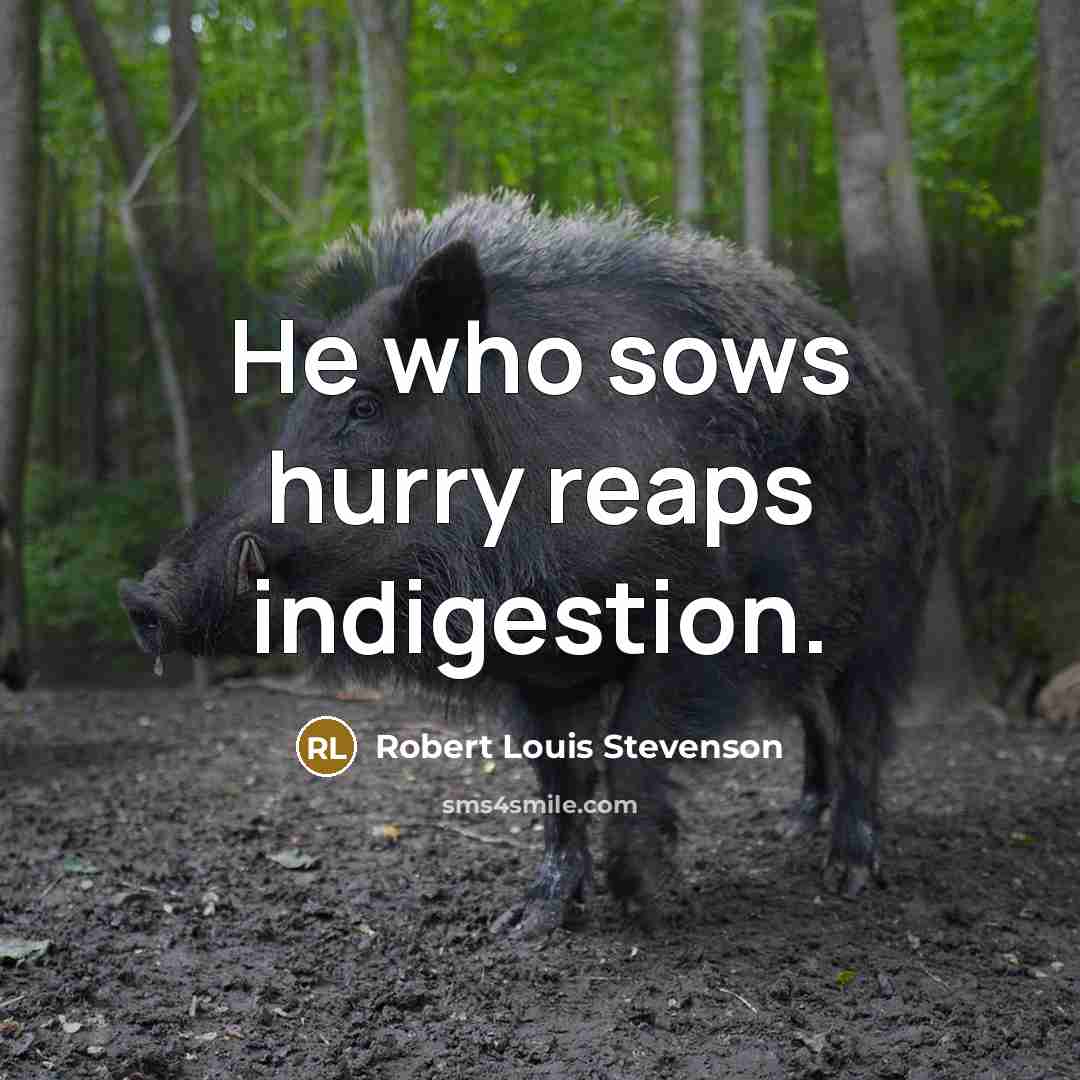 “He who sows hurry reaps indigestion.…” quote by Robert Louis Stevenson
