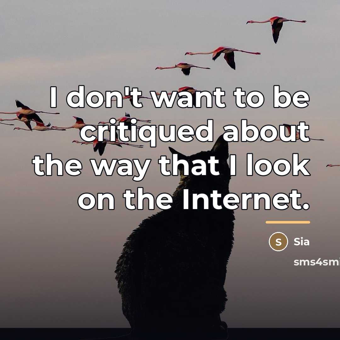 “I don't want to be critiqued about the way that…” quote by Sia