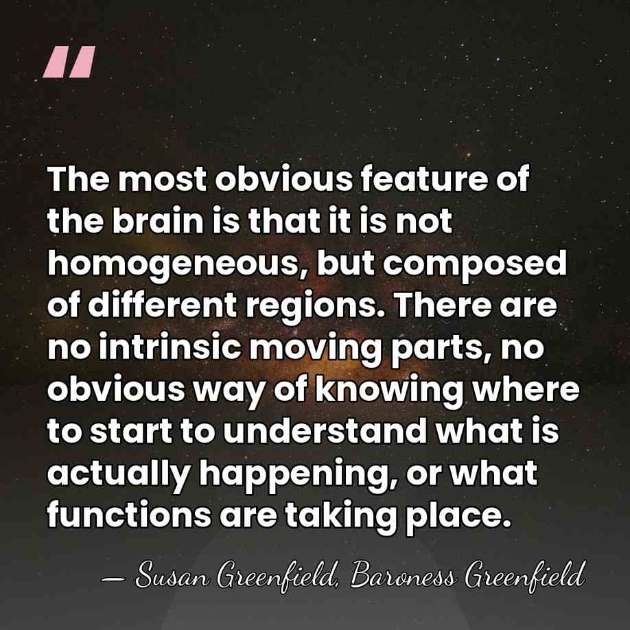 The most obvious feature of the brain is that it is not&hellip; - Susan Greenfield, Baroness Greenfield