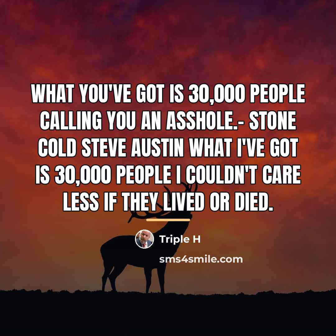 “What you've got is 30,000 people calling you an asshole.-…” quote by Triple H