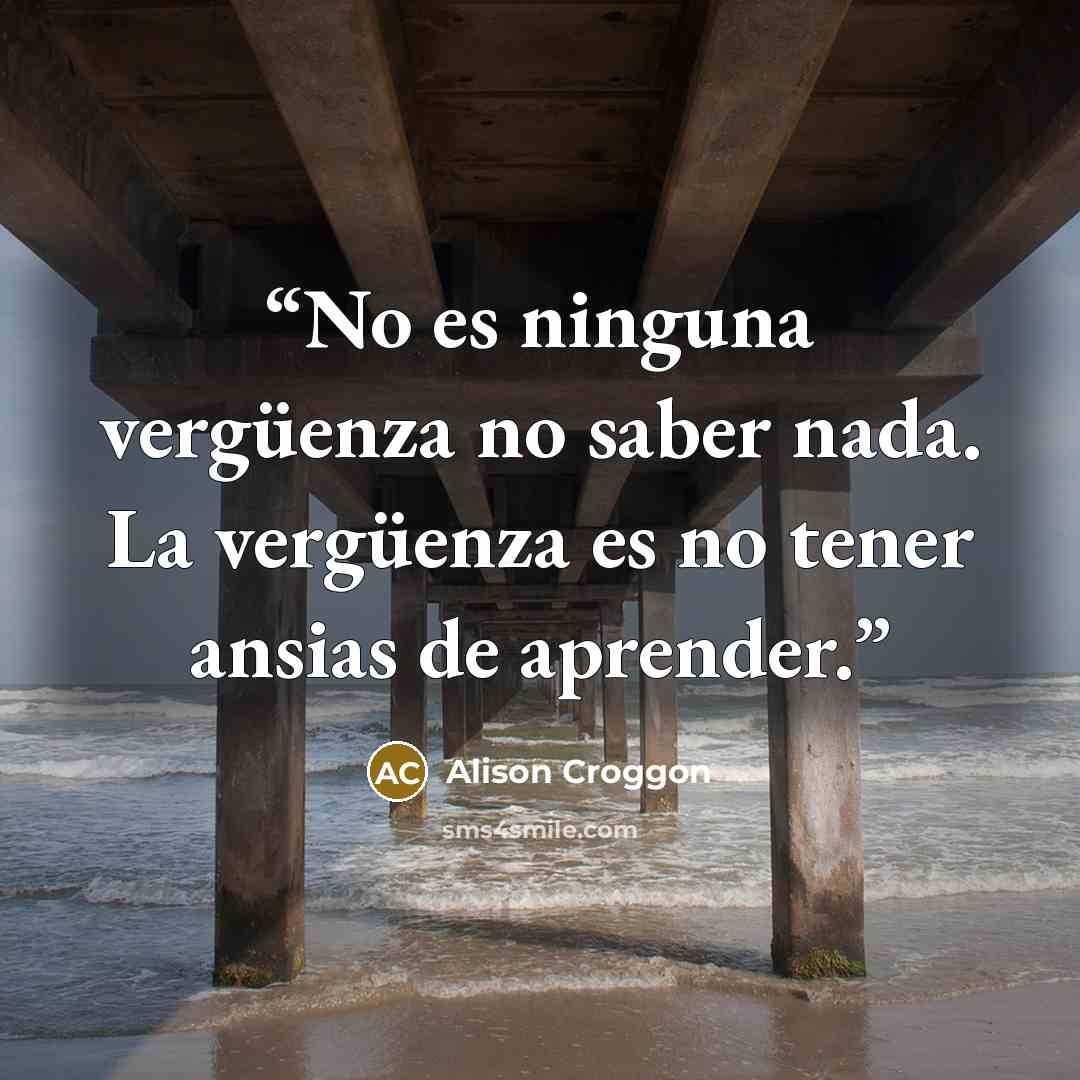 “No es ninguna vergüenza no saber nada. La vergüenza es no tener ansias de aprender.” quote by Alison Croggon