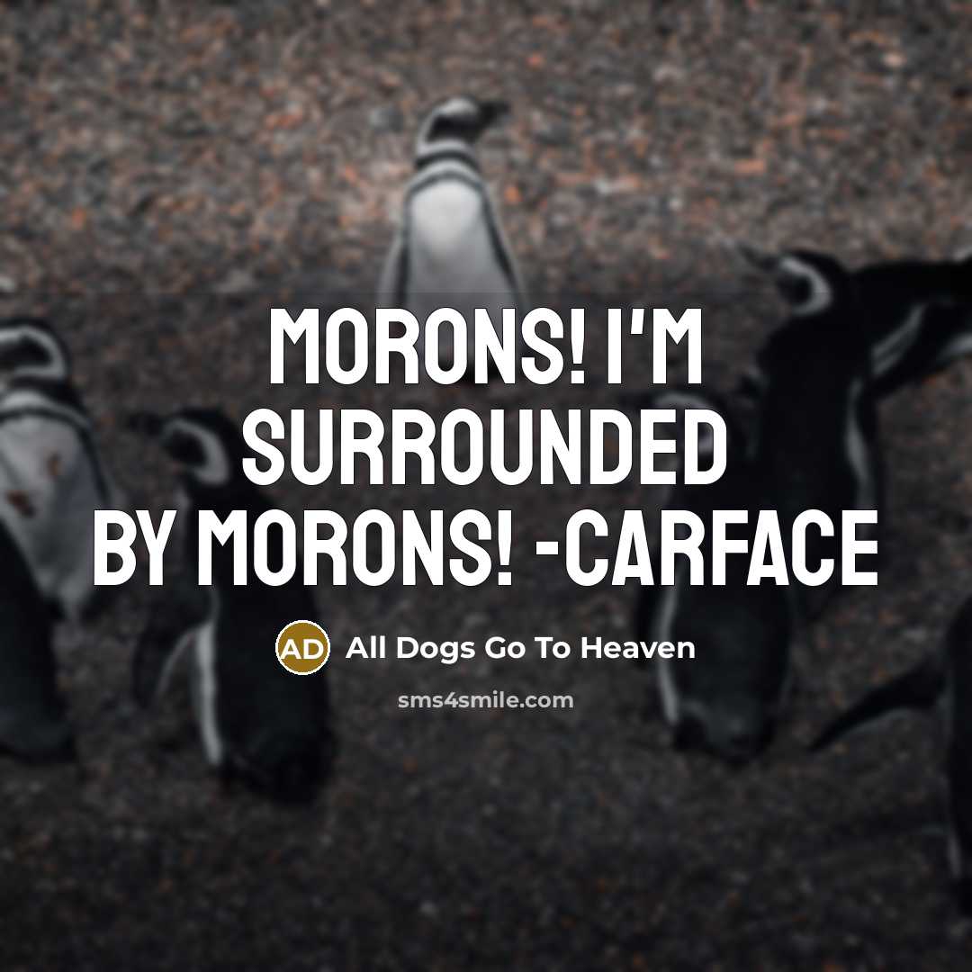 “MORONS! I'm surrounded by MORONS! -Carface” quote by All Dogs Go To Heaven
