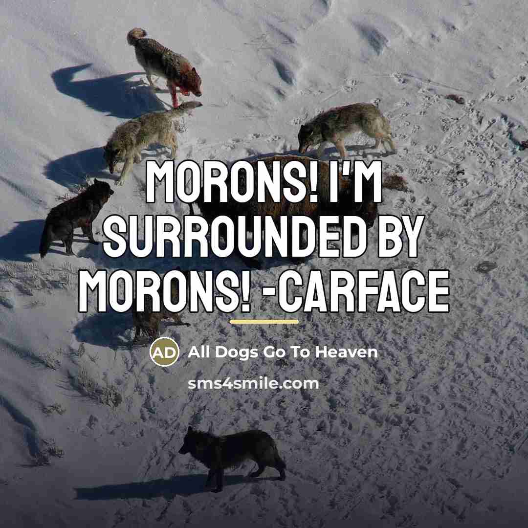 “MORONS! I'm surrounded by MORONS! -Carface…” quote by All Dogs Go To Heaven