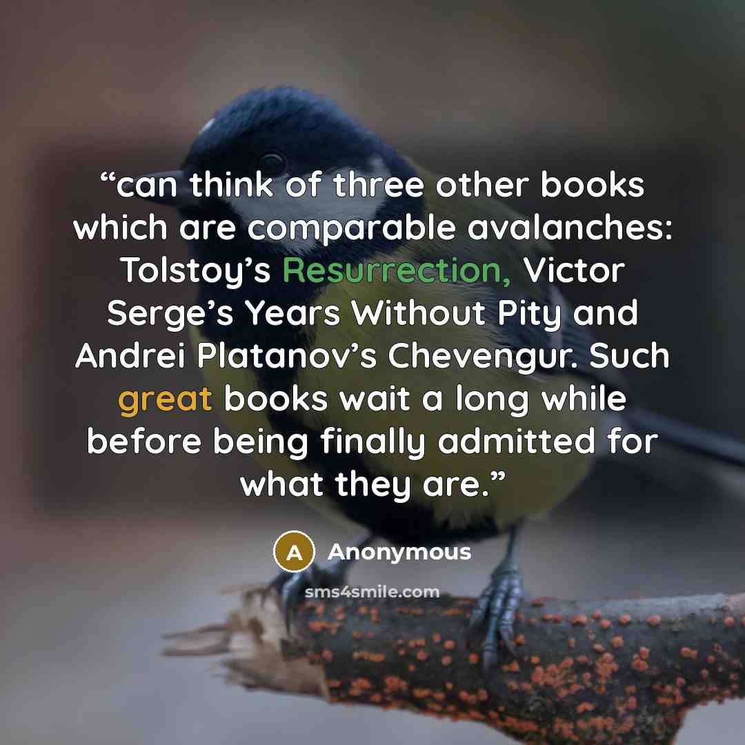 “can think of three other books which are comparable avalanches: Tolstoy’s Resurrection, Victor Serge’s Years Without Pity and Andrei Platanov’s Chevengur. Such great books wait a long while before being finally admitted for what they are.” quote by Anonymous