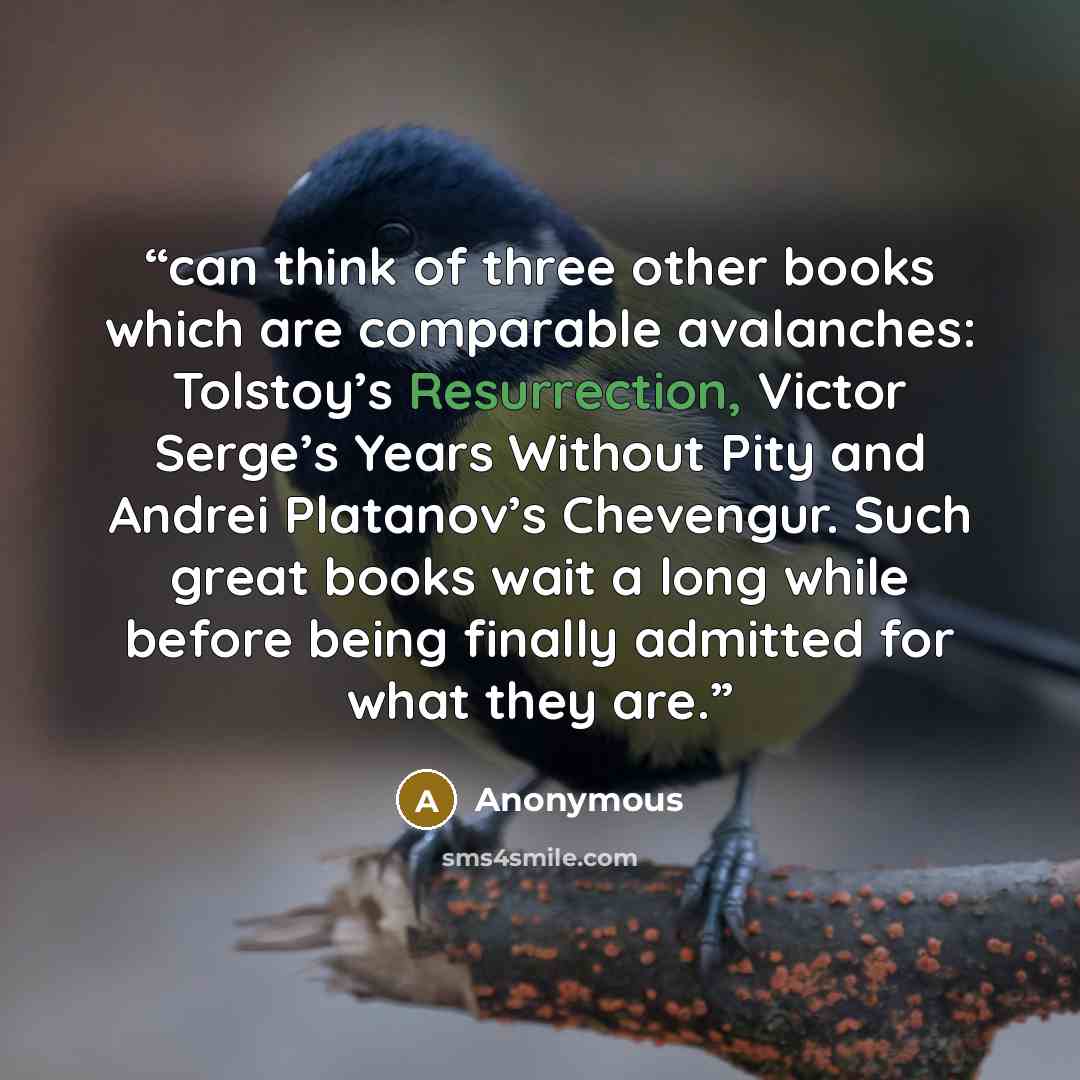 “can think of three other books which are comparable avalanches: Tolstoy’s Resurrection, Victor Serge’s Years Without Pity and Andrei Platanov’s Chevengur. Such great books wait a long while before being finally admitted for what they are.” quote by Anonymous