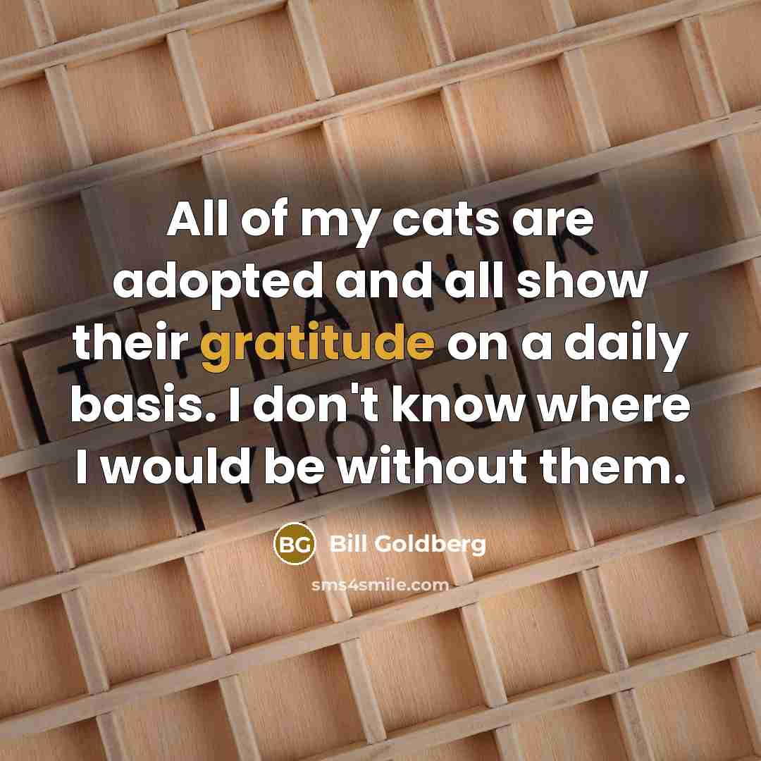 “All of my cats are adopted and all show their…” quote by Bill Goldberg